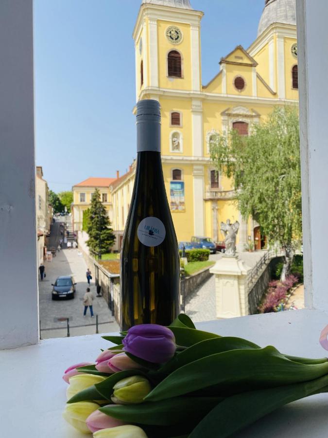 Urania Apartmanhaz エゲル エクステリア 写真